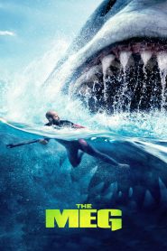 The Meg (2018) Sinhala Subtitles | සිංහල උපසිරසි සමඟ
