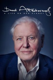 David Attenborough: A Life on Our Planet (2020) Sinhala Subtitles | සිංහල උපසිරසි සමඟ