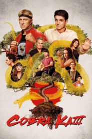 Cobra Kai  Sinhala Subtitles | සිංහල උපසිරසි සමඟ