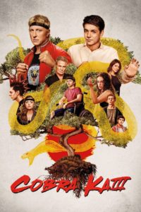 Cobra Kai  Sinhala Subtitles | සිංහල උපසිරසි සමඟ