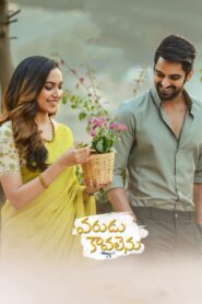 Varudu Kaavalenu (2021) Sinhala Subtitles | සිංහල උපසිරසි සමඟ