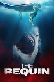 The Requin (2022) Sinhala Subtitles | සිංහල උපසිරසි සමඟ