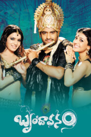 Brindavanam (2010) Sinhala Subtitles | සිංහල උපසිරසි සමඟ