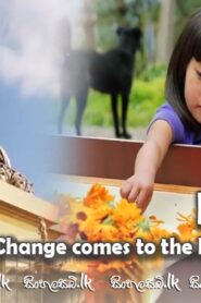 Bhutan – change comes to the Himalayan -Happy Kingdom (2020) Sinhala Subtitles