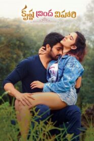 Krishna Vrinda Vihari (2022) Sinhala Subtitles | සිංහල උපසිරසි සමඟ