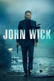 John Wick (2014) Sinhala Subtitles | සිංහල උපසිරසි සමඟ