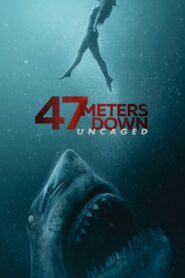 47 Meters Down: Uncaged (2019) Sinhala Subtitles | සිංහල උපසිරසි සමඟ