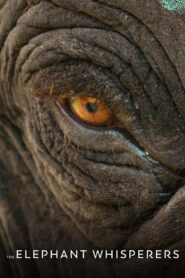 The Elephant Whisperers (2022) Sinhala Subtitles | සිංහල උපසිරසි සමඟ
