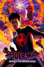 Spider-Man: Across the Spider-Verse (2023) Sinhala Subtitles | සිංහල උපසිරසි සමඟ