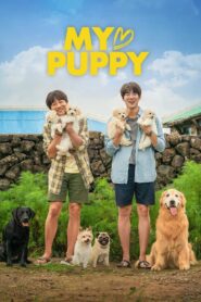 My Heart Puppy (2023) Sinhala Subtitles | සිංහල උපසිරසි සමඟ