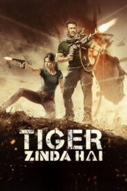 Tiger Zinda Hai (2017) Sinhala Subtitles | සිංහල උපසිරසි සමඟ