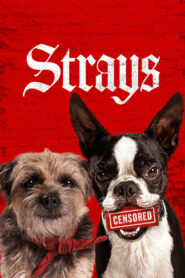 Strays (2023) Sinhala Subtitles | සිංහල උපසිරසි සමඟ