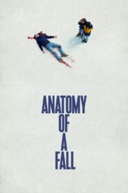 Anatomy of a Fall (2023) Sinhala Subtitles | සිංහල උපසිරසි සමඟ