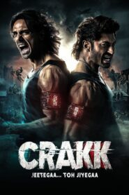 Crakk: Jeetega… Toh Jiyegaa (2024) Sinhala Subtitles | සිංහල උපසිරසි සමඟ